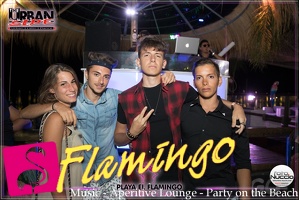 Playa el Flamingo Estate 2017