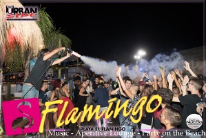 Playa el Flamingo Estate 2017