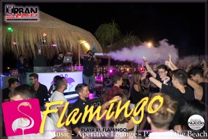 Playa el Flamingo Estate 2017