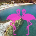 Playa el Flamingo