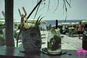 Playa el Flamingo