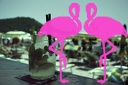 Playa el Flamingo