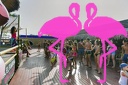 Playa el Flamingo