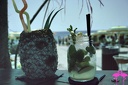 Stabilimento Balneare