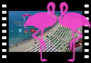 Playa El Flamingo I Caraibi Nel Cilento
