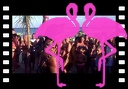 A Bailar con la Giusy de Cuba a Playa El Flamingo