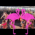 Zumba Fitness a Playa El Flamingo- Marina di Camerota