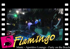 Suavecito The Party Playa El Flamingo