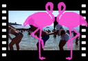 Agua Zumba a Marina di Camerota Playa El Flamingo