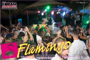 Playa el Flamingo - THE NIGHT