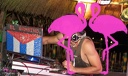 Playa el Flamingo - THE NIGHT