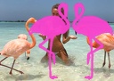 Playa el Flamingo