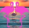 Playa el Flamingo