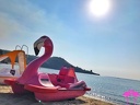 Playa el Flamingo