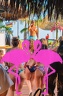 Playa el Flamingo