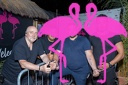 Playa el Flamingo - THE NIGHT