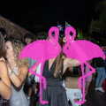 Playa el Flamingo - THE NIGHT