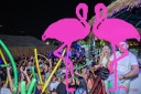Playa el Flamingo - THE NIGHT