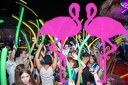Playa el Flamingo - THE NIGHT