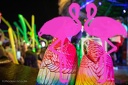 Playa el Flamingo - THE NIGHT