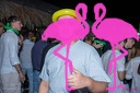 Playa el Flamingo - THE NIGHT