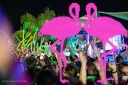 Playa el Flamingo - THE NIGHT