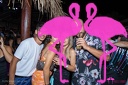 Playa el Flamingo - THE NIGHT