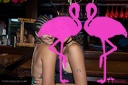 Playa el Flamingo - THE NIGHT