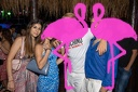 Playa el Flamingo - THE NIGHT