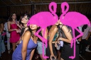 Playa el Flamingo - THE NIGHT