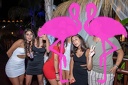 Playa el Flamingo - THE NIGHT