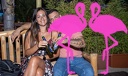 Playa el Flamingo - THE NIGHT