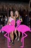 Playa el Flamingo - THE NIGHT