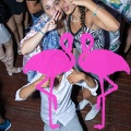 Playa el Flamingo - THE NIGHT