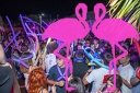 Playa el Flamingo - THE NIGHT