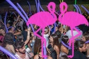 Playa el Flamingo - THE NIGHT