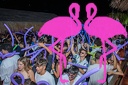 Playa el Flamingo - THE NIGHT
