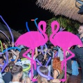 Playa el Flamingo - THE NIGHT