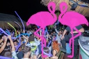 Playa el Flamingo - THE NIGHT