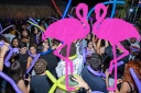 Playa el Flamingo - THE NIGHT