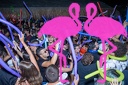 Playa el Flamingo - THE NIGHT