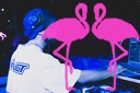 Playa el Flamingo - THE NIGHT