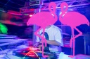 Playa el Flamingo - THE NIGHT