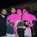 Playa el Flamingo - THE NIGHT