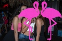 Playa el Flamingo - THE NIGHT