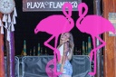 Playa el Flamingo Estate 2023
